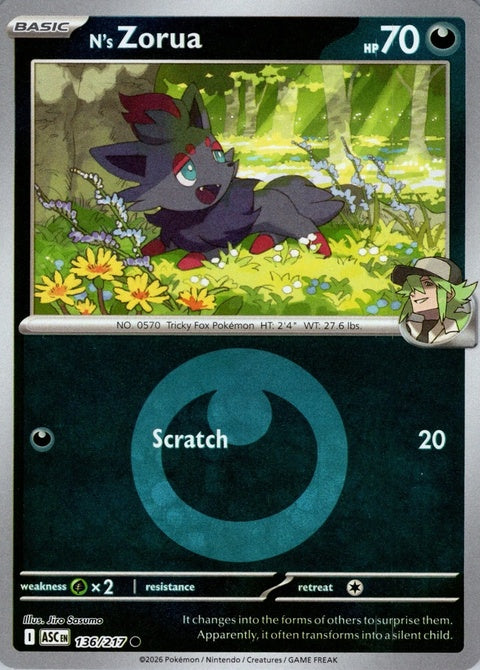 N's Zorua (136) - ME: Ascended Heroes