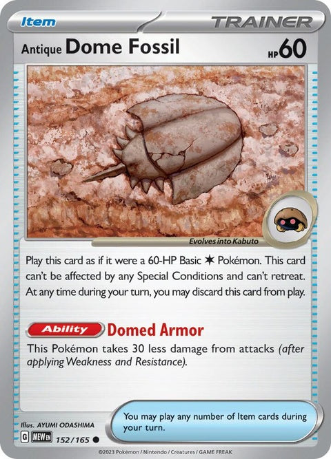 Antique Dome Fossil (152) - 151