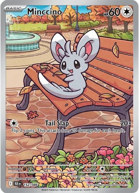 Minccino (152) - Black Bolt