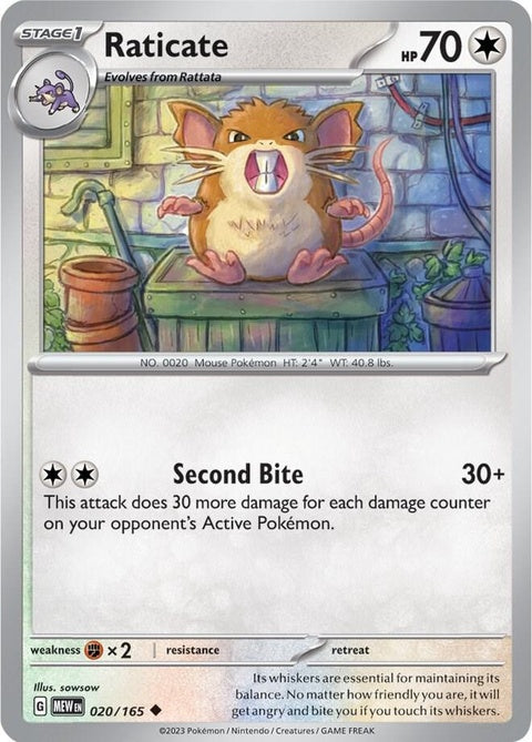 Raticate (20) - 151