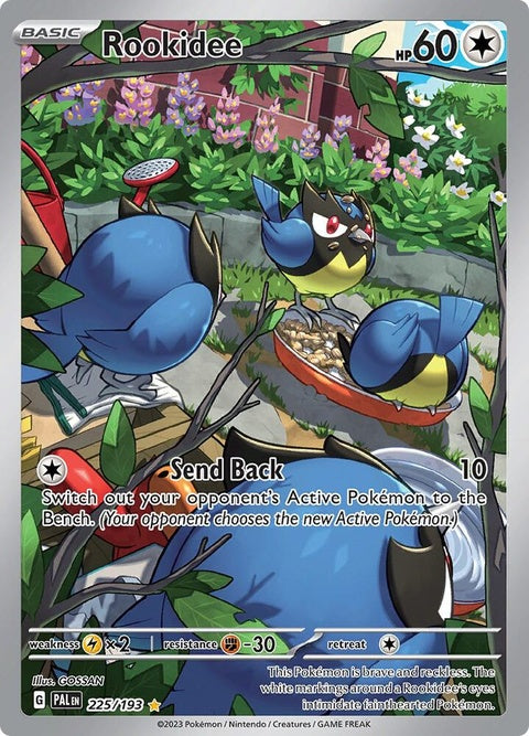 Rookidee (225) - Paldea Evolved