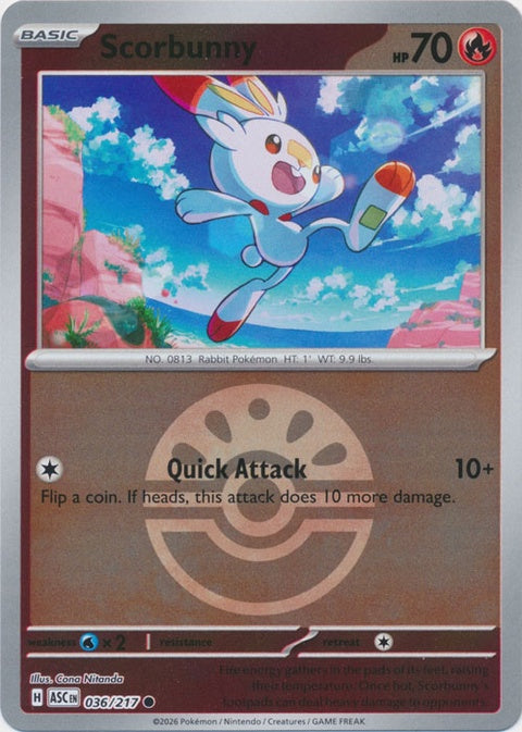Scorbunny (36) - ME: Ascended Heroes