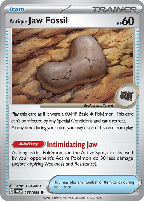 Antique Jaw Fossil (68) - ME03: Perfect Order