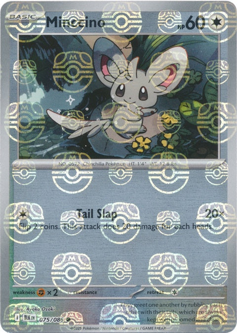 Minccino (75) - Black Bolt