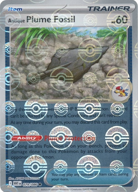 Antique Plume Fossil (79) - White Flare