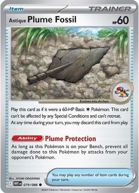 Antique Plume Fossil (79) - White Flare